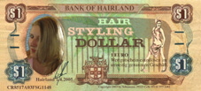 Hairstylingdollar